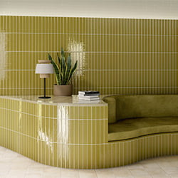 OLIVE-SHELL-SIDNEY-MAINZU.jpg