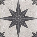 COMPASS WHITE