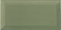 BISSEL GREEN OLIVE