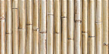 BAMBOO CREAM