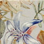 DECOR BANGKOK 15X15