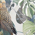 DECOR TIKIDA