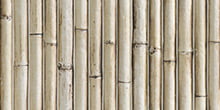 BAMBOO WHITE