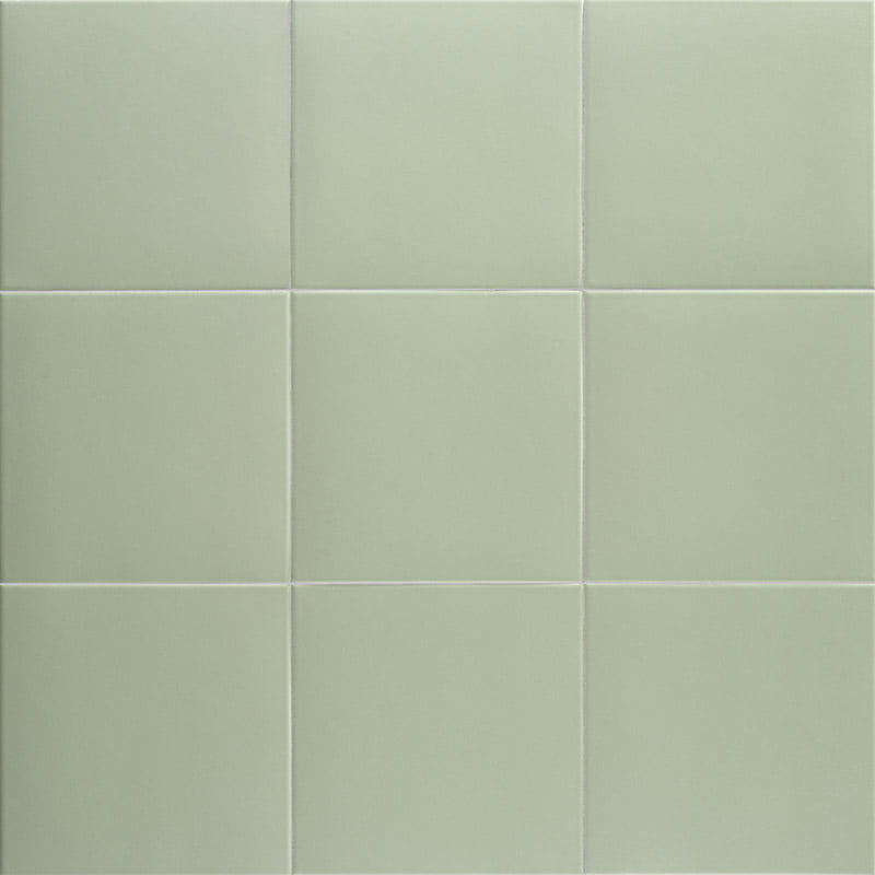 BASIL-TECHNICAL-20X20-MAINZU.jpg