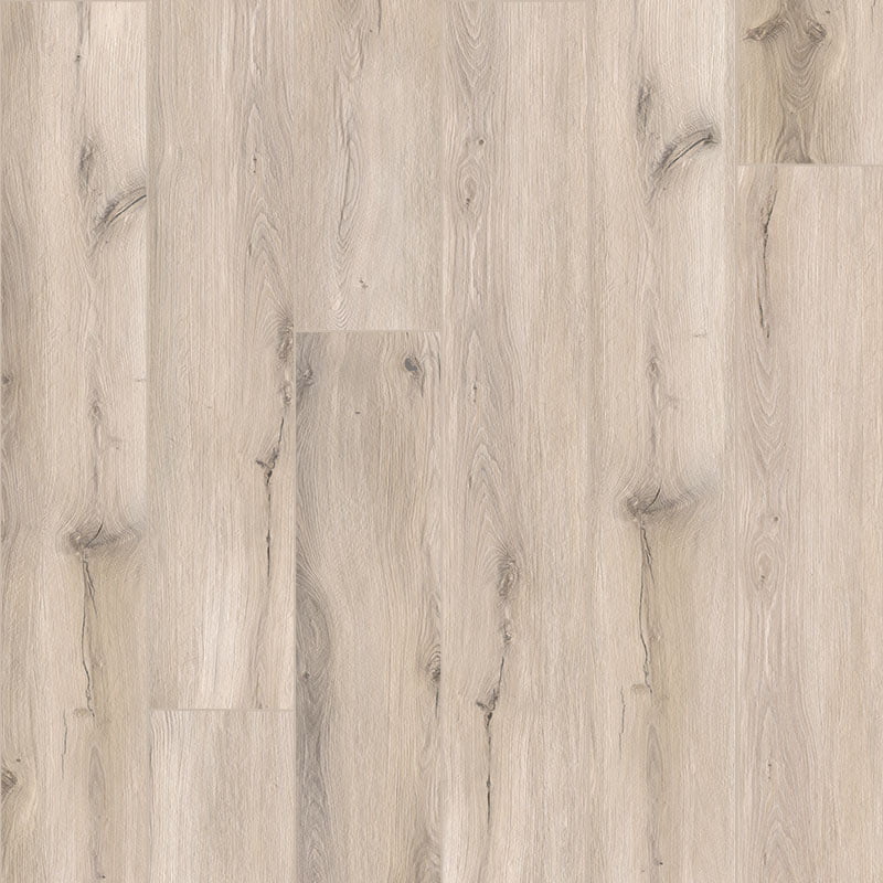 BEECH-ASPEN-23X150-MAINZU.jpg