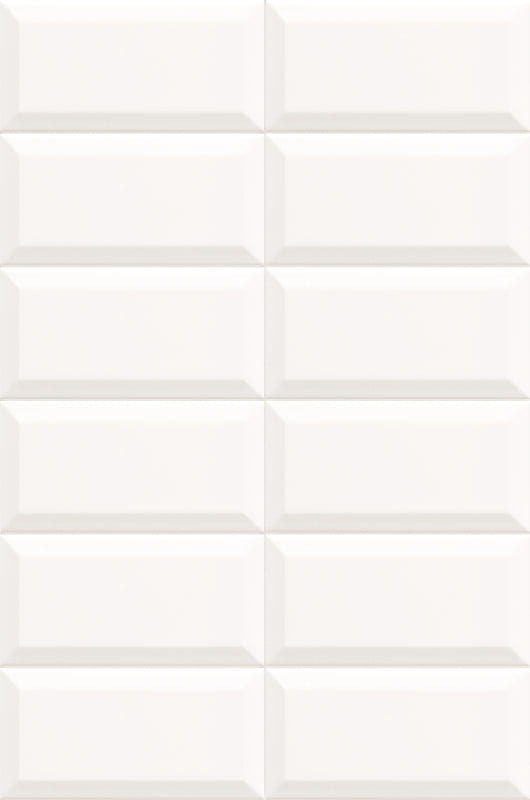 BISSEL_BLANCO_10x20.jpg
