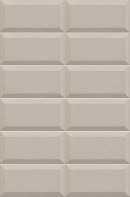 BISSEL_GRIS_PLATA_10x20.jpg