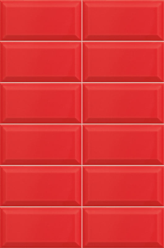 BISSEL_ROJO_10x20.jpg