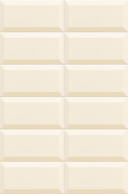 BISSEL_VISON_10x20.jpg