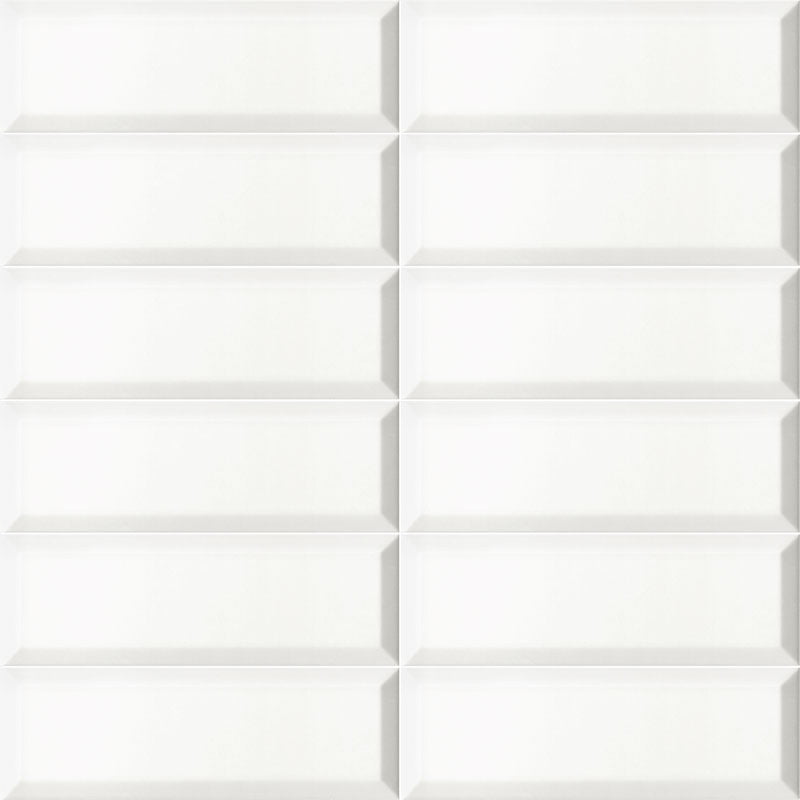 BLANCO-MATE-BISSEL-10x30-MAINZU.jpg