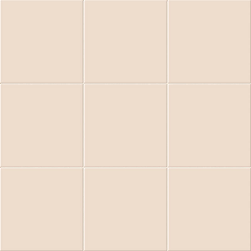 NACAR_MATE_20x20-CHROMA-OK.jpg