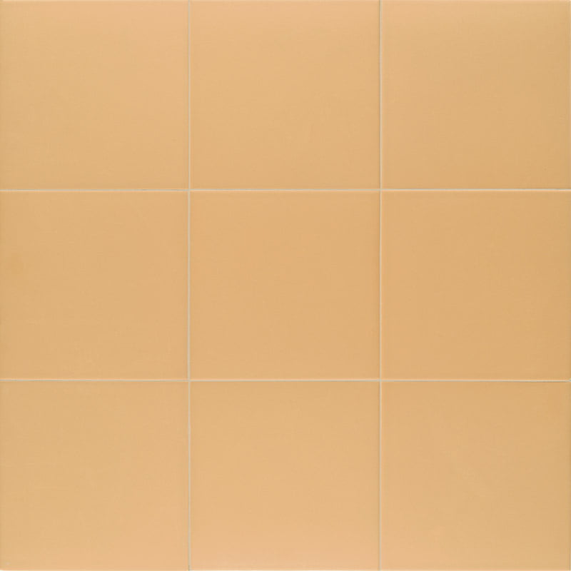 TANGERINE-TECHNICAL-20X20-MAINZU.jpg